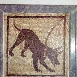 Römisches Mosaik eines Hundes, Cave Canem, Pompeji, Italien