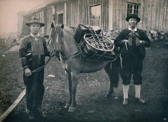 Saetersdalen Hochländer mit Packpferd, 1914