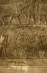 Saqqara - Grab des Ti Wandmalereien, um 1918-1939