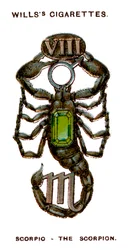 Skorpion, Der Skorpion, 1923