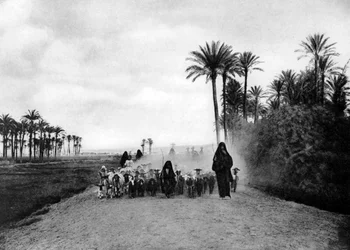 Schafe hüten in der Nähe von Kairo, Ägypten