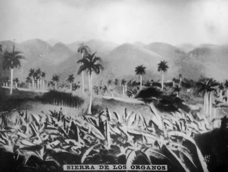 Sierra de los Organos, 1896, 1920er Jahre