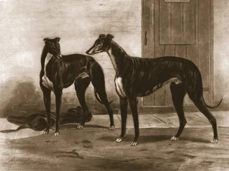 Simonian und Fullerton, ca. 1891, 1911
