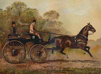 Einspänner-Phaeton-Pferd Columbine. Eigentum von Charles Baynes Esq., 1872, ca. 1879