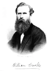 Sir William Crookes, englischer Chemiker und Physiker (um 1875)