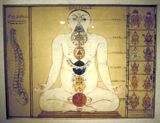 Sechs Chakras, die die Plexusse des menschlichen Körpers darstellen, Tanjore, Tamil Nadu, ca. 1850