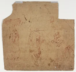 Skizzen von Pferden und Reitern recto, 17. Jahrhundert