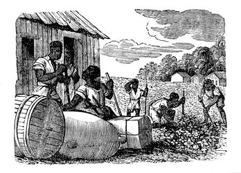 Sklavenarbeit auf einer Tabakplantage, 1833