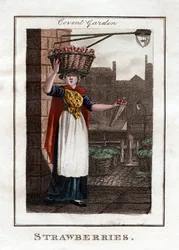 Erdbeeren, Covent Garden, London, 1805