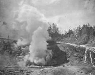 Der Schwarze Brüller, Norris Geyser Basin, Yellowstone Park, Montana, USA