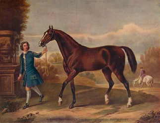 Der Darley Arabian, ca. 1720, 1922
