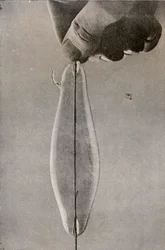 Die erste Glühlampe