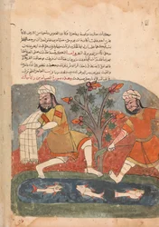 Der Fisch und der Fischer, Folio aus einem Kalila wa Dimna