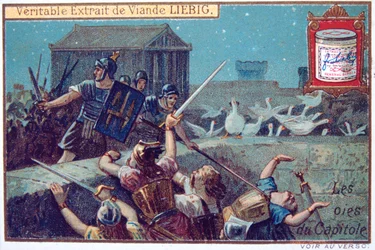 Die Gänse der Hauptstadt, Liebig-Kontinental-Sammelkarte, c1900