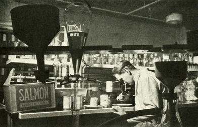 Die große Lachsindustrie