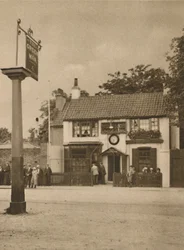 Der Grüne Mann in Putney Heath