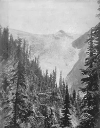 Der Illicilliwaet-Gletscher, 19. Jahrhundert