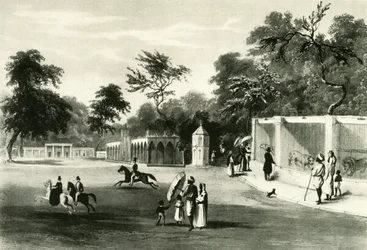 Die Menagerie im Barrackpore Park, 1820, 1925