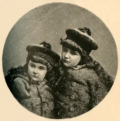 Der Weihnachtsbaum der Schneevögel, 1883