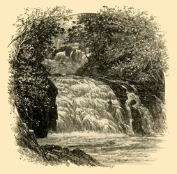 Die Schwalbenfälle, 1898