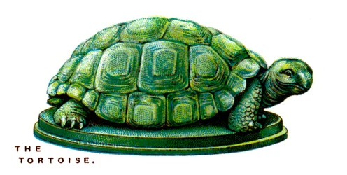 Die Schildkröte, 1923
