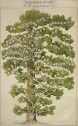 Der Stammbaum von Mikhail Lermontov, 1930er