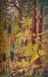 Die gigantische Vegetation des Karbonzeitalters, 1907