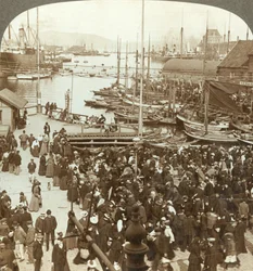 Der Hafen, N.W. vom Marktplatz in Bergen, dem größten Fischmarkt Norwegens, ca. 1905