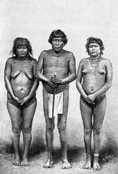 Drei Guarauni-Indianer, Venezuela, 1895