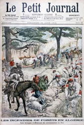 Truppen versuchen, einen Waldbrand einzudämmen, Algerien, 1904