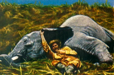 Trophäenjäger mit totem Elefanten, um 1928