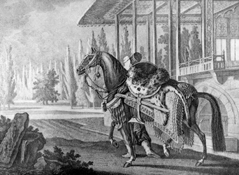 Arabisches Pferd des türkischen Paschas, 1722