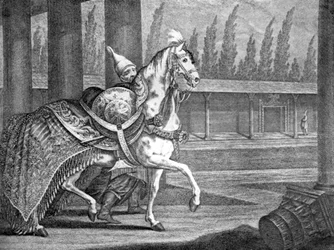 Arabisches Pferd des türkischen Sultans, 1722 1938