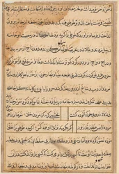 Tuti-Nama Geschichten eines Papageis, um 1560