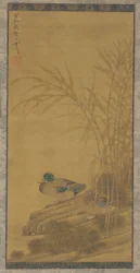Zwei Enten zwischen Schilf am Wasser, Ming- oder Qing-Dynastie, 15.-18. Jahrhundert