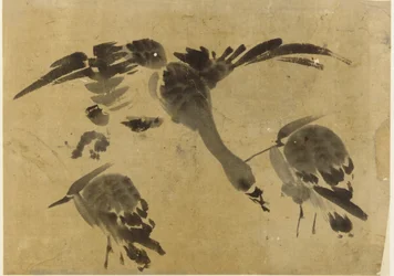 Zwei Reiher und eine Gans