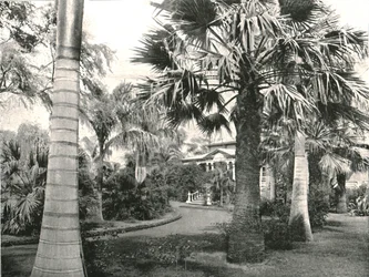 Typischer hawaiianischer Hof, Honolulu, USA, 1895
