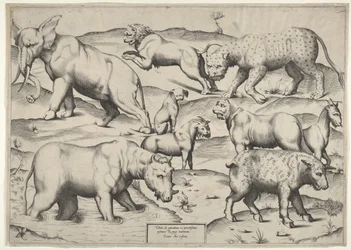 Verschiedene Tiere