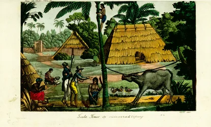Dorfszene in der Nähe von Kupang, Timor