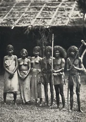 Wedda, 1926