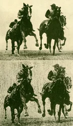 Drahtlose Fototelegrafie, ca. 1930