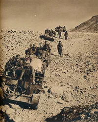 Mit Andersons Männern in Tunesien, 1943
