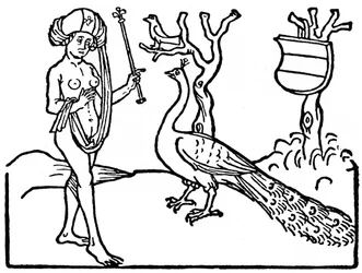 Frau und Pfau, 1475, 1964.