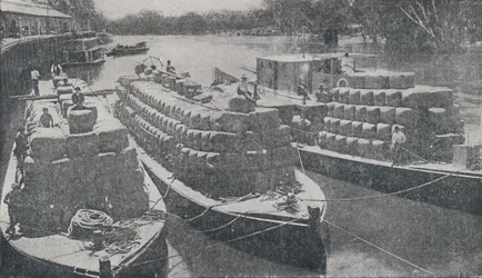 Wollkähne auf dem Murray River, 1923