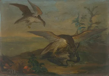 Vogelkampf