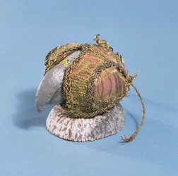 Falkenhaube, aus der Tradescant-Sammlung, spätes 15. frühes 16. Jahrhundert