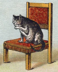 Eine Katze auf einem Stuhl. Gravur in "Alphabet de ma petite fille". Bernardin-Bechet und Fils, Buchhändler-Verleger, Paris, um 1895.