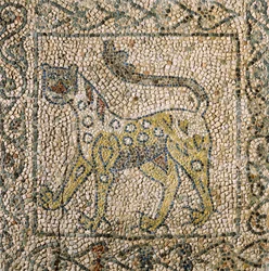 Kirche des Heiligen Johannes Evangelist, Vierter Kreuzzug, Fragmente von Mosaikböden, die einen gefleckten Panther darstellen, Ravenna, Emilia-Romagna, Italien