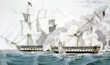 Constitution und Java