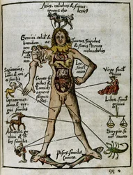 Kosmographie 16. Jahrhundert: der Zodiakalmensch